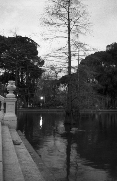 C06water2